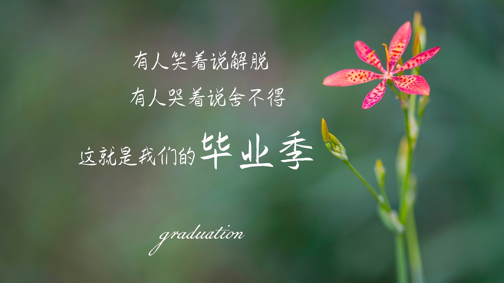体育人才培养机制创新，培养体育人才的关键是