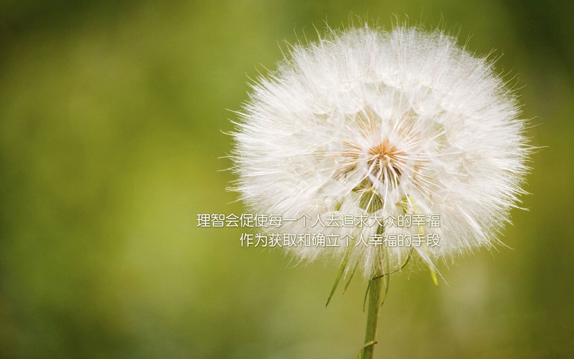 五大联赛是否存在数据分析无法解释的决策取舍，五大联赛数据统计