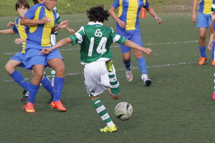 乐鱼app-体育纪录片内容更加丰富，体育纪录片主题