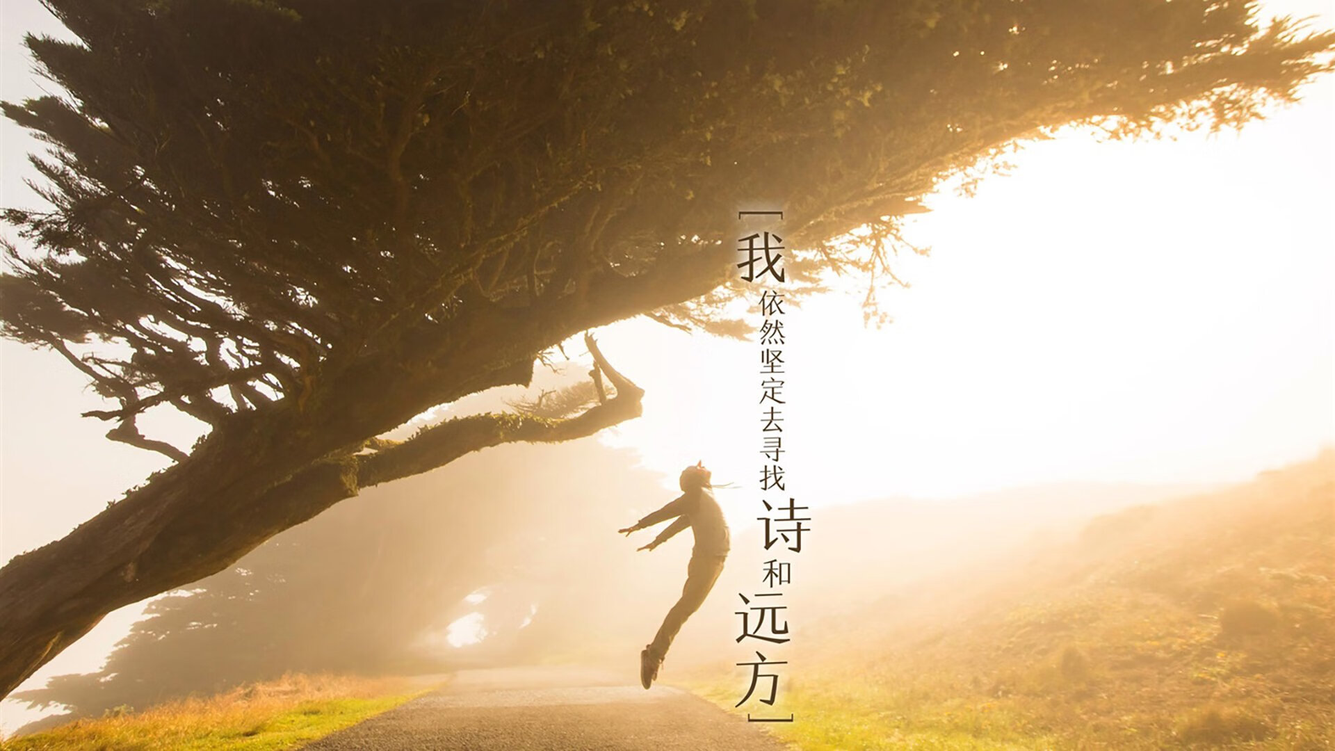 拜仁双后腰拦截覆盖能力极强，拜仁套后腰