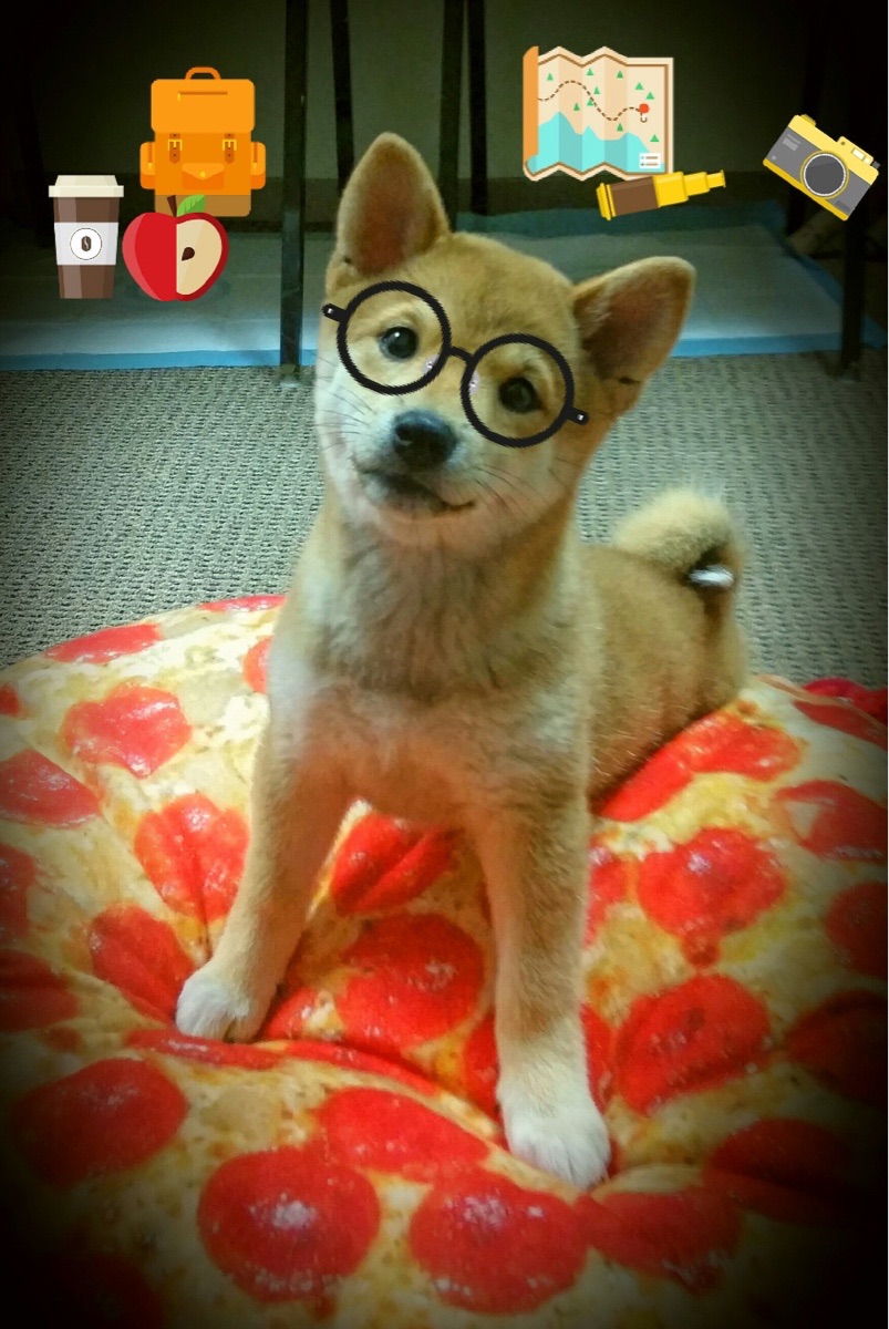 乐鱼体育登录入口-浙江雄狮夺冠背后团队配合与外援发挥关键，浙江雄狮电工科技有限公司