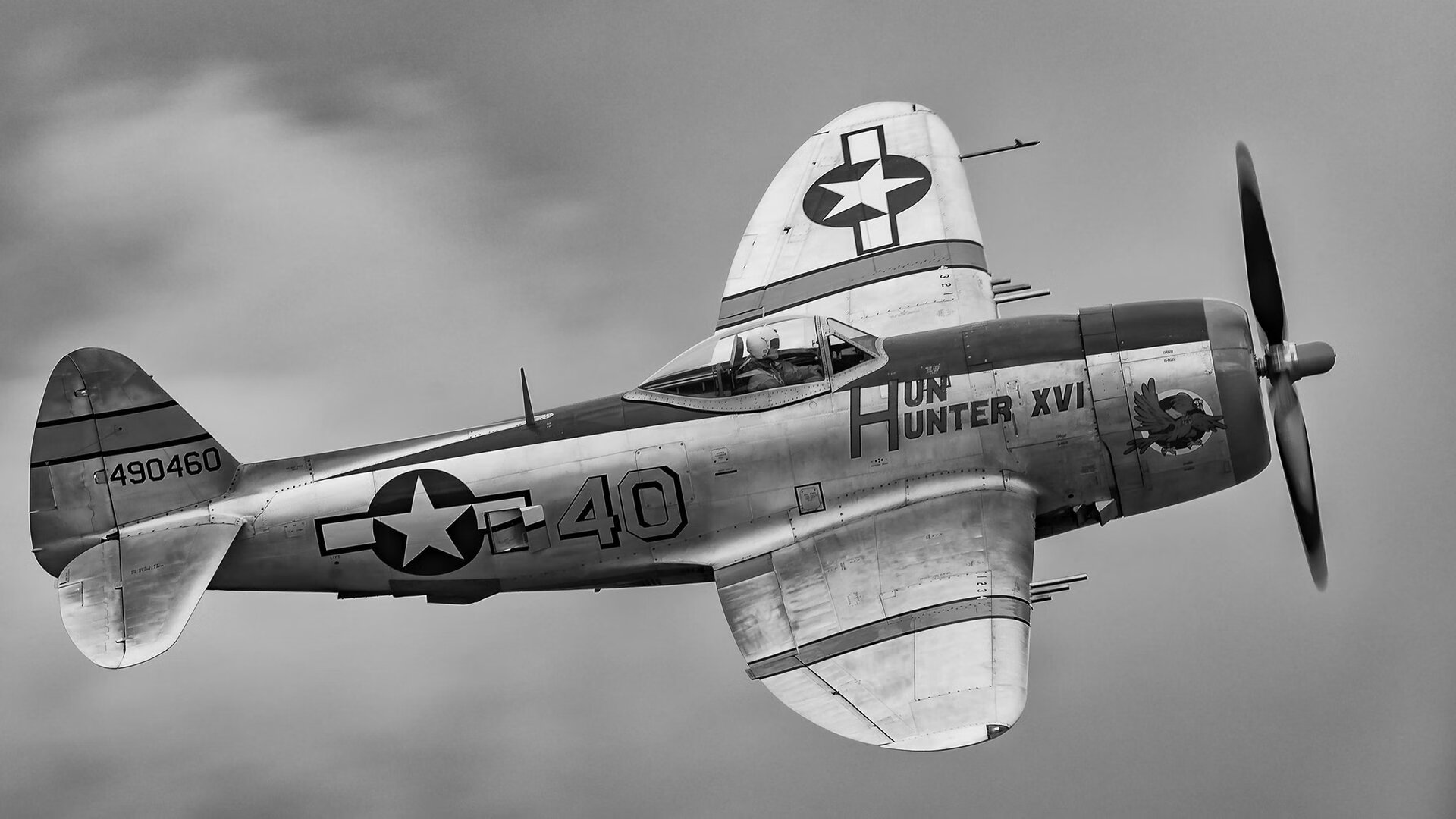 浙江雄狮夺冠背后团队配合与外援发挥关键，浙江雄狮电工科技有限公司