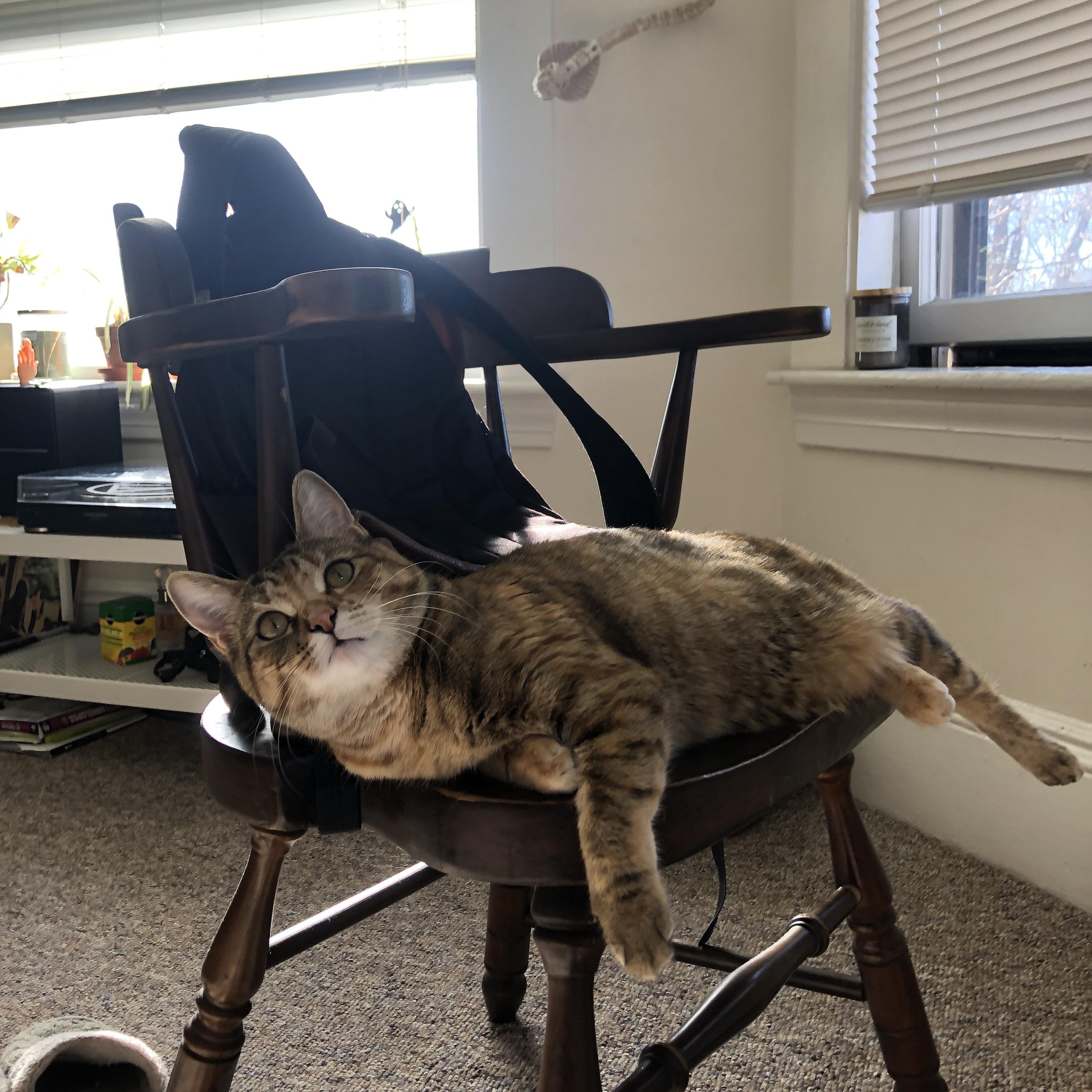 乐鱼体育app官方入口-球队是否设置节奏爆发窗口破坏对手防守体系