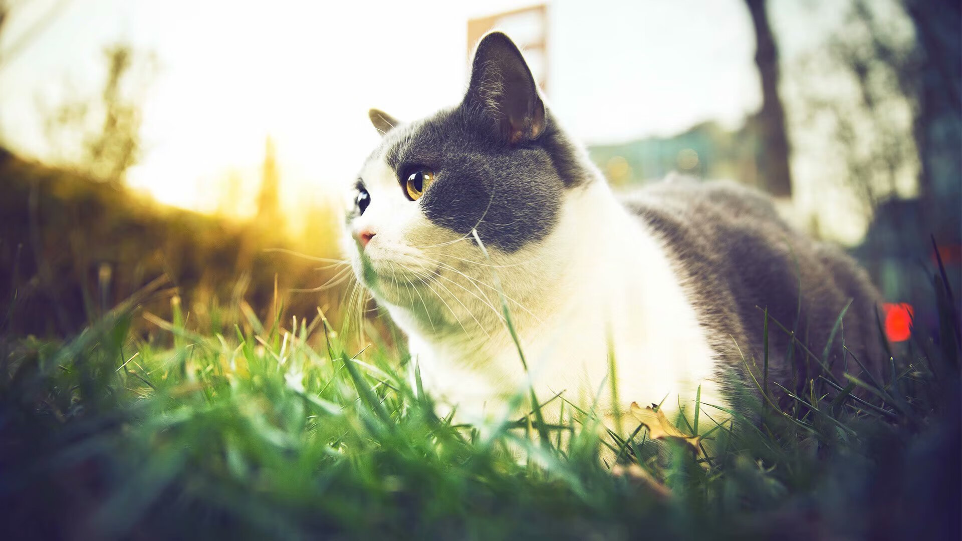 乐鱼体育在线入口-绿色生态与竞技体育交汇于湖滨赛场，绿色生态与竞技体育交汇于湖滨赛场有关系吗