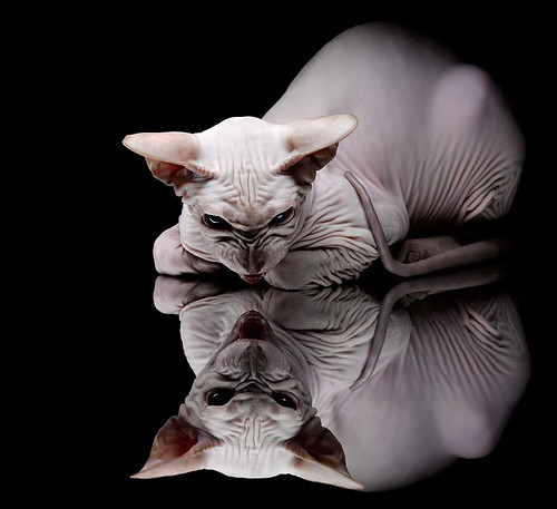 节奏波动是否是判断比赛走势的有效信号,节奏的时值怎么计算