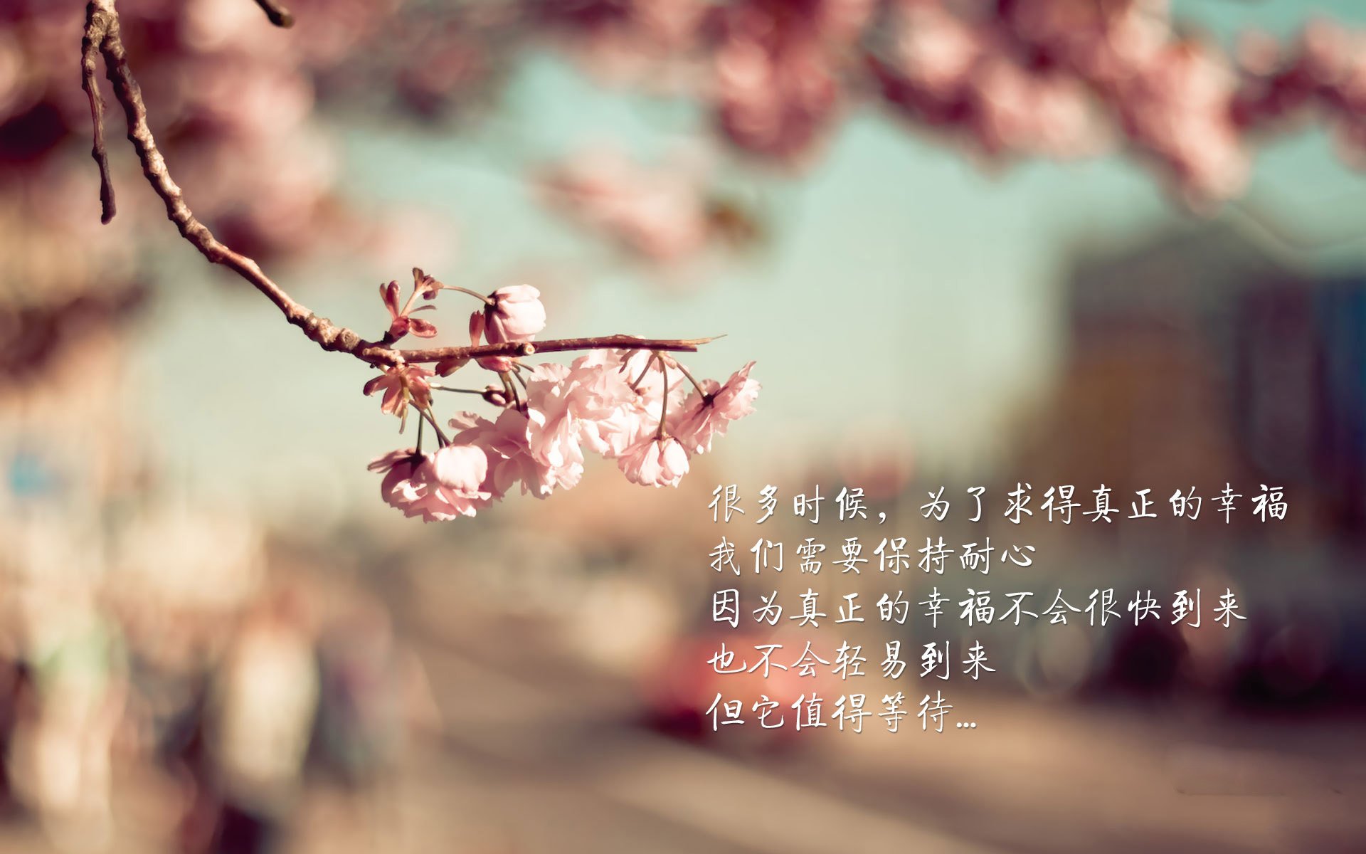 乐鱼体育app官网-Grassroots 村超联赛成为草根足球新生标签