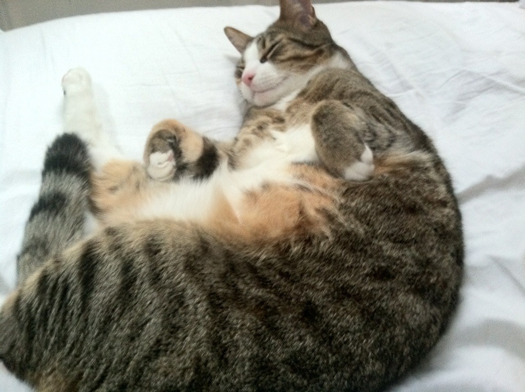 中甲球队建立球员阅读角打造知识型训练环境,足球阅读比赛能力