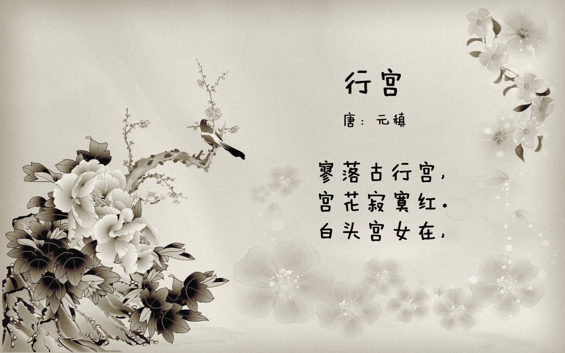 乌干达女篮在非洲锦标赛中不断提高,为奥运目标努力