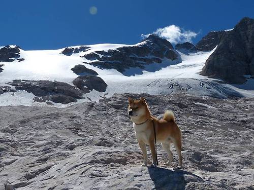 乐鱼体育入口-体育新闻平台数据报告显示用户增长速度持续稳定