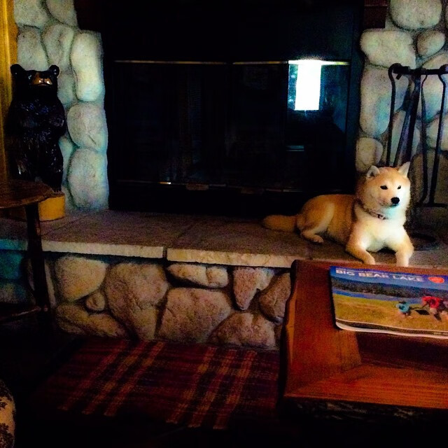 比利时蝶泳项目发挥持续稳定,比利时花样游泳