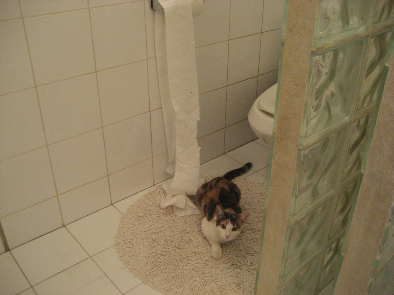 乐鱼体育app官网下载-波斯尼亚女篮在欧洲锦标赛中表现出色，冲击奖牌