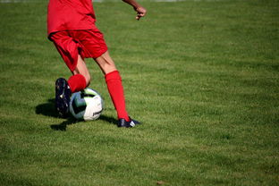 乐鱼官网-CBA球队加强后勤保障体系优化训练和比赛准备，cba后备联赛